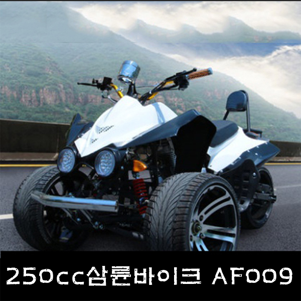 R-BON모터스  NEW 대형 3륜바이크 150cc AF009 : 스마트씽크