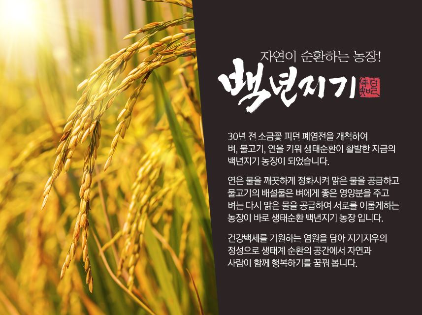 [백년지기] 움티움 혼합 발아현미800g : 백년지기