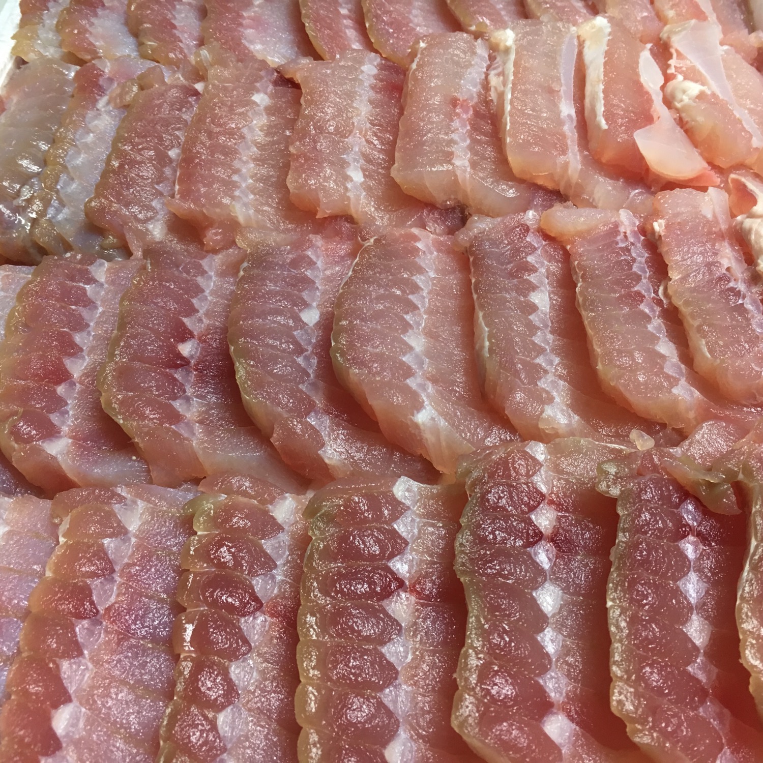 흑산도에서 발송하는 진품 참홍어 500g 1.1kg : 흑산도어부