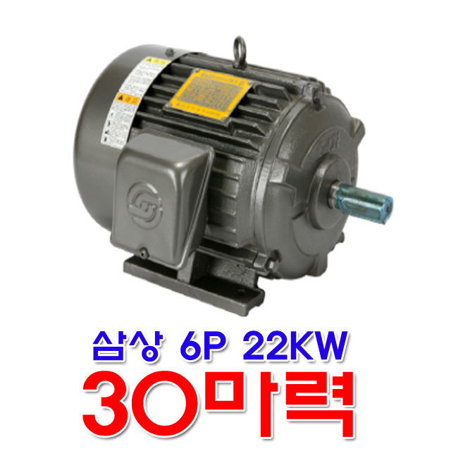 을지전기 삼상 6극 22KW 30마력 모터 유도전동기 6P 전폐형 TTH : 금광전업사