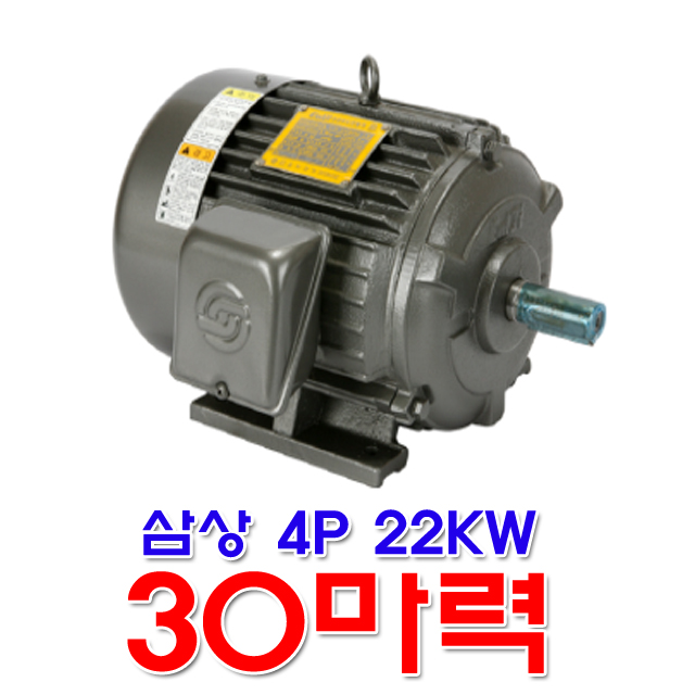 을지전기 삼상 4극 22KW 30마력 모터 유도전동기 4P 전폐형 TTH : 금광전업사