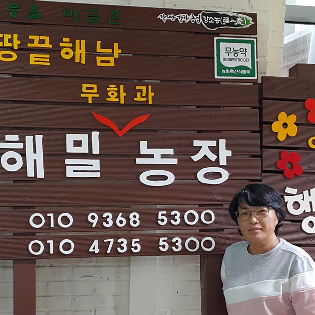 안심하고 먹을 수 있는 달콤한 친환경 해남무화과 2kg  (500g 4팩/ 28과내외) : 해남땅끝해밀농장