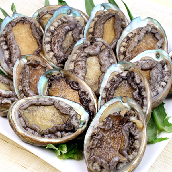 해강물산 진도활전복1kg(11~12미) : 피쉬세일