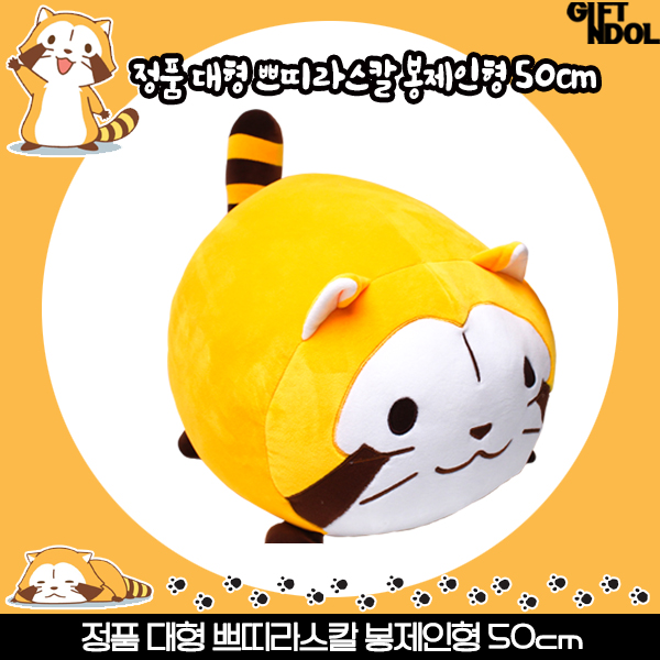 정품 쁘띠라스칼 봉제인형 50cm : 주식회사 기프트앤돌