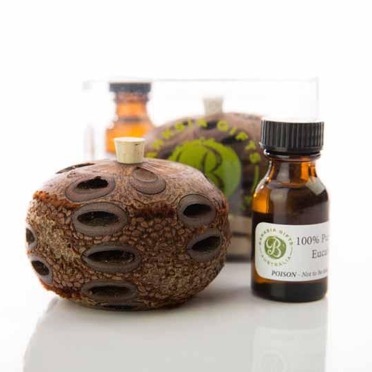 방크시아 아로마 디퓨저(방향제) - 미니 / 미디움 / 더블 , Banksia Aroma Pod Gift Box : 나무로그리다