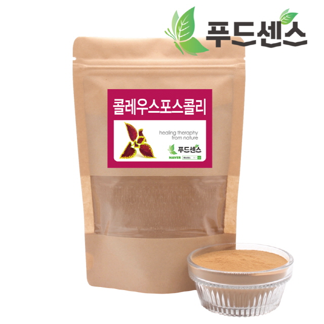 콜레우스 포스콜리 추출 분말 가루 포스콜린 20배 농축 100g : 푸드센스