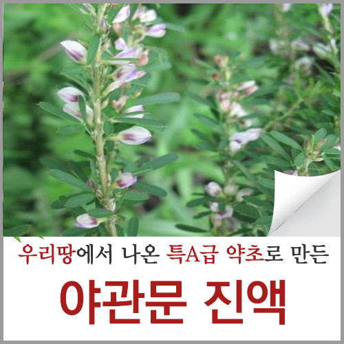 국산 야관문 비수리 야간문 : 신토불이약초