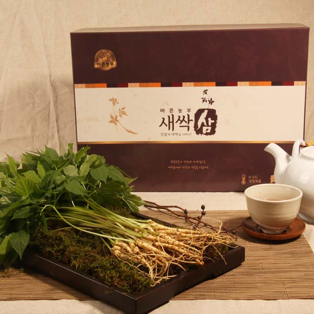 올바른농산 새싹삼 100뿌리 실속 선물세트 가정용 업소용 : 올바른농산