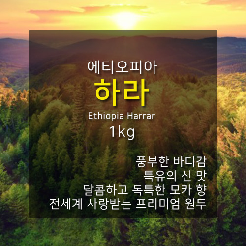제로커피 에티오피아 하라 1kg : 마진제로 제로커피