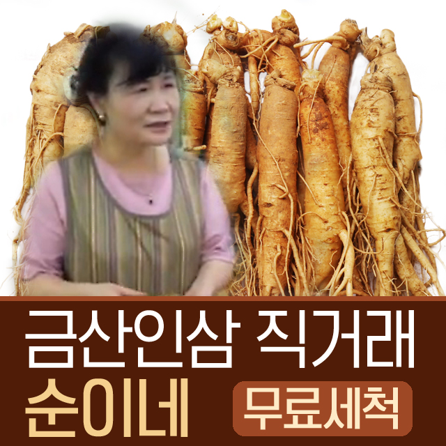인삼 수삼 금산 순이네 난발삼 500g 세척 : 금산 순이네 인삼