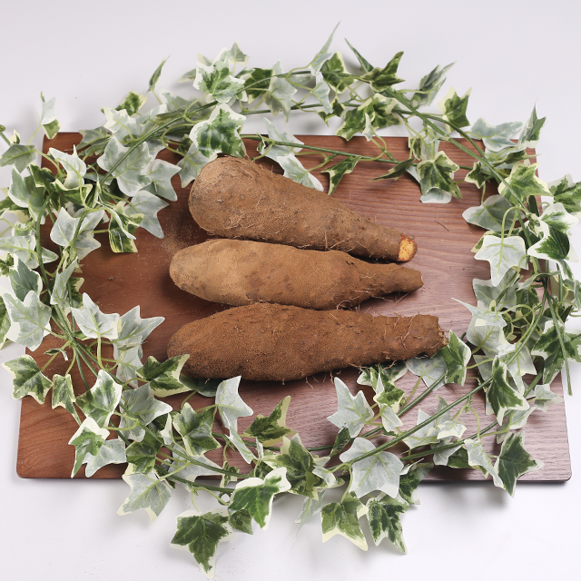 산지직송 안동마 참마 생마 햇 산마 [중품] 2kg, 1개 : 필창농산영농조합법인