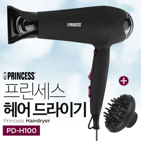 네델란드 프린세스 전문가용헤어드라이기 2000W 디퓨저추가구성 PD-H100 : 티팡-TP
