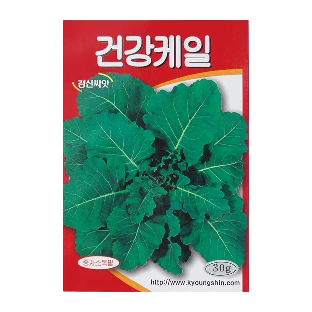 케일씨앗 건강케일 30g 비타민 함유량 많은 건강채소 : GT라인
