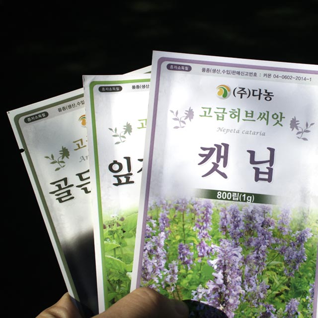 식용 허브 새싹 겨자 씨앗 베이비 쌈채소 씨앗 허브키우기 : 더피움
