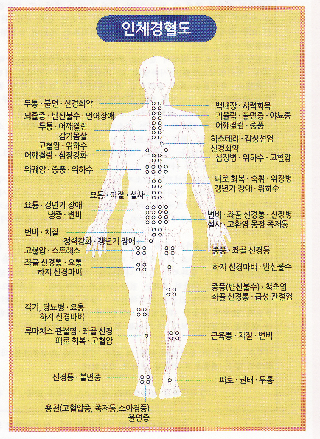 어깨결림, 목통증 효과, 간 위장 대장 등 5장6부 넓게 퍼져 12경락 365경혈 뚫어 주고  피로 회복 도움 : 좋은물  무자화수 마이워터