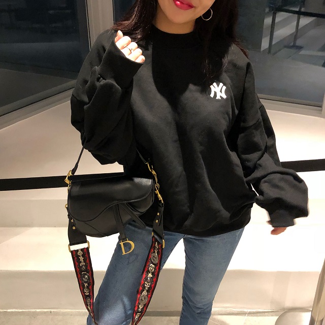 디오르 새들백 : heyj 헤이제이
