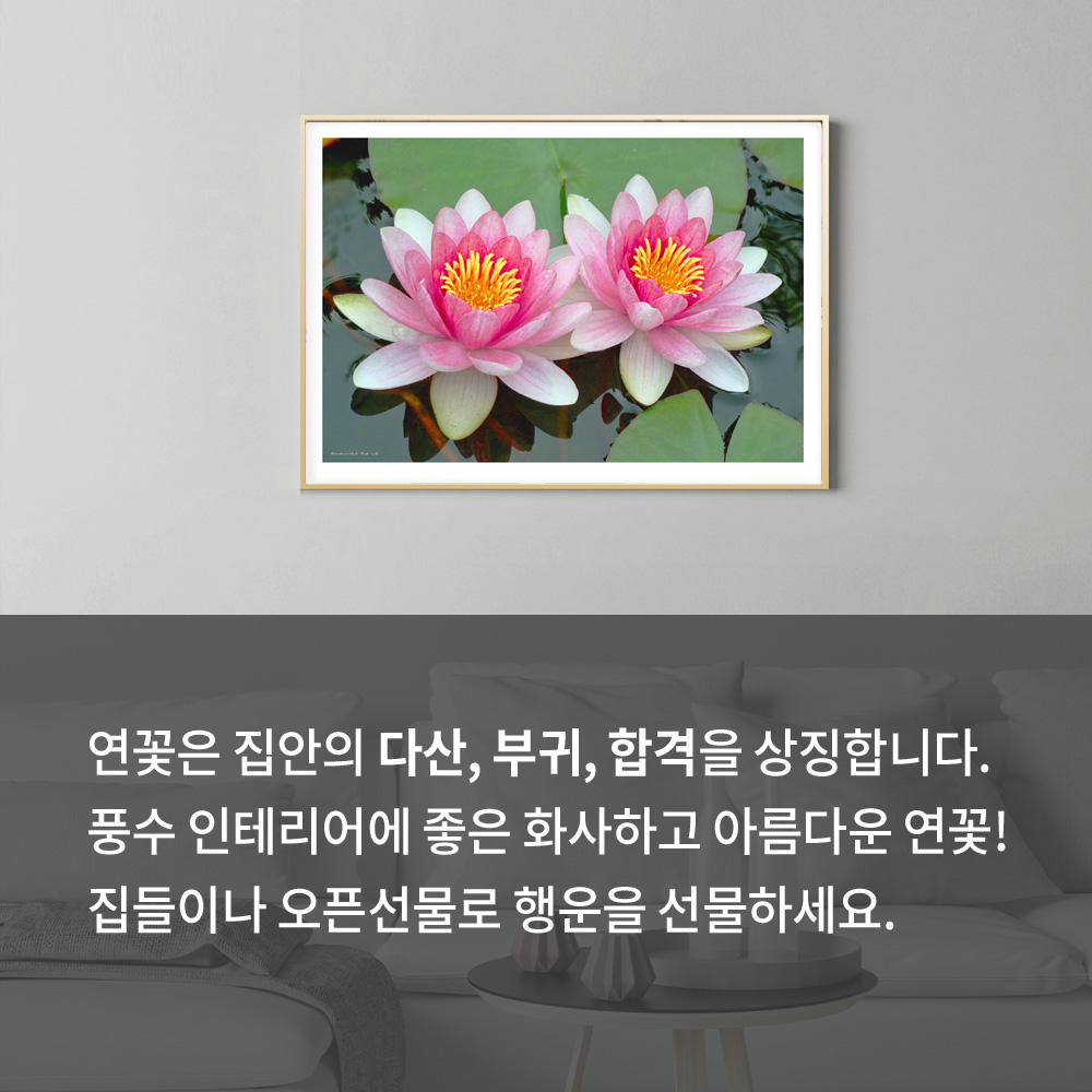 풍수인테리어 행운가득 연꽃액자 : 로로프레임