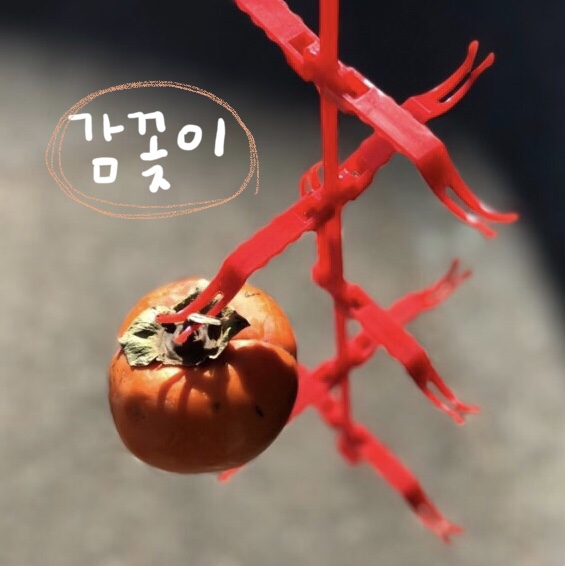 감꽂이 곶감걸이 곶감건조 (감10개) : 신평종합건재