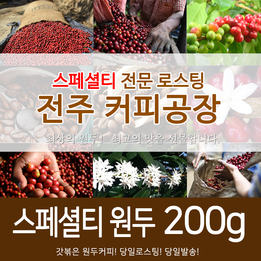 전주커피공장 갓볶은원두 스페셜티커피/로스팅원두/드립커피 200g : 아오아오커피몰