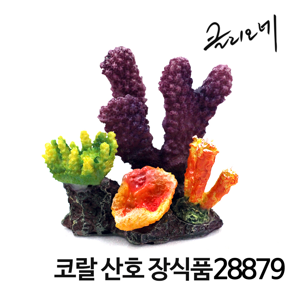 코랄 산호 장식품 28879 : 이슬아쿠아