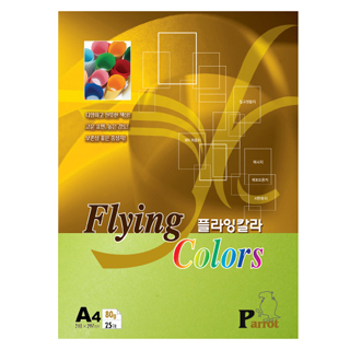 그린 2팩X25장 (50장) 삼원 OA지 Q03 형광색 컬러 복사지 80g 아트팩 프린터 색지 무료 재단 : 대창재료의창