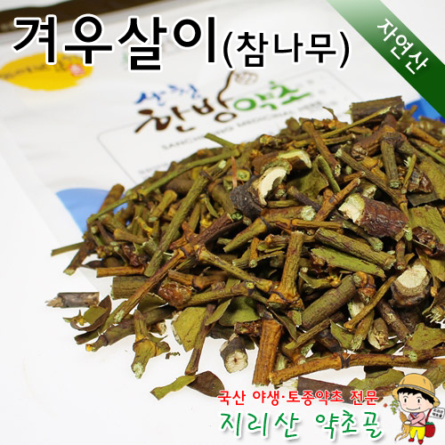 자연산 참나무 겨우살이 500g 곡기생 : 지리산 약초골