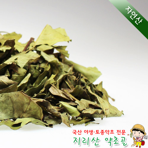 자연산 꾸지뽕나무 잎 300g 구지뽕 : 지리산 약초골