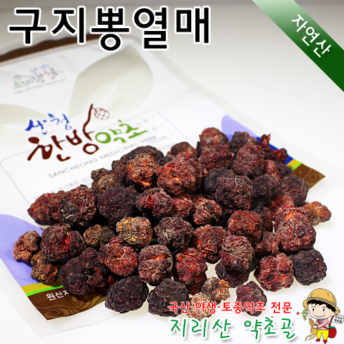 자연산 꾸지뽕나무 열매 300g 구지뽕열매 : 지리산 약초골