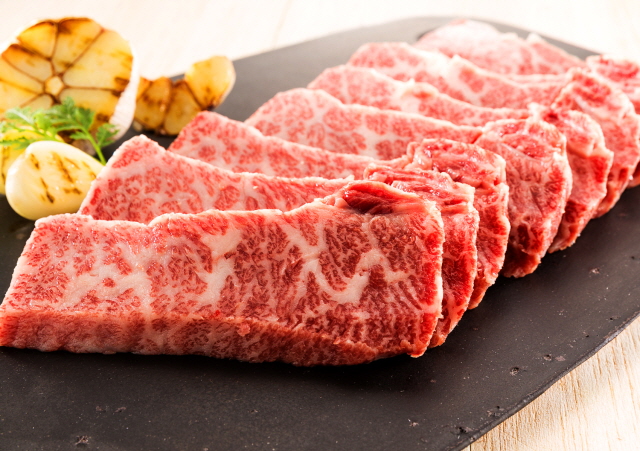 [의성마늘소] 한우 1++등급 갈비살 600g : 의성서부한우회마늘소영농조합