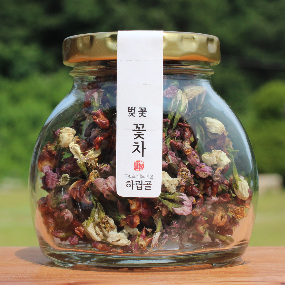 벚꽃차 하립골 꽃피는차 선물 세트 직접재배 봄꽃 국산(홍천) : 하립골 수제 꽃차