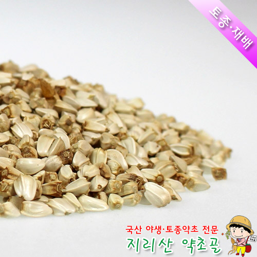 국산 홍화씨차 500g 홍화자 : 지리산 약초골