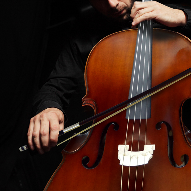 Stard Bach Cello 스트라드 바하 첼로 교육용 입문용 레슨용 연습용 : 한나뮤직