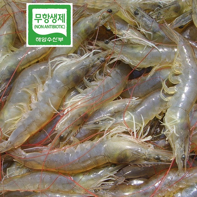 친환경인증/ 가을 햇 왕새우 1kg : 고바다수산