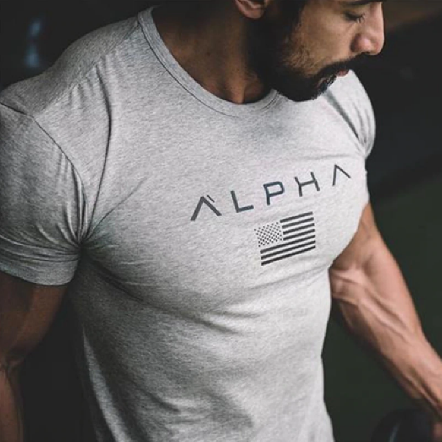 ALPHA 머슬핏 슬림핏 운동 피트니스 헬스 반팔 티셔츠 23종 모음 1274 : 무배직구몰