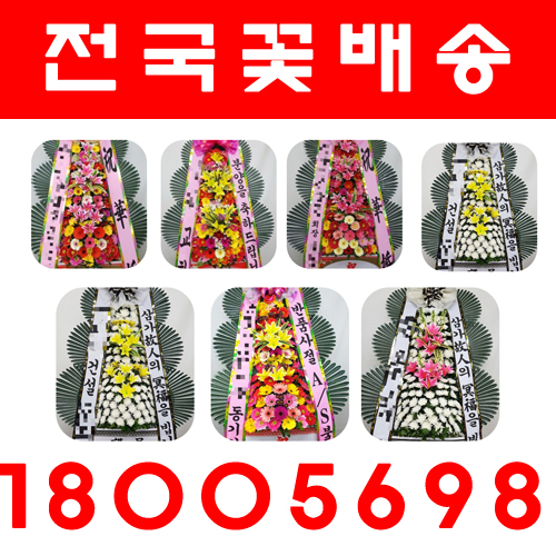 전국 꽃 배달, 전국 화환 배달 : 일리아나플라워