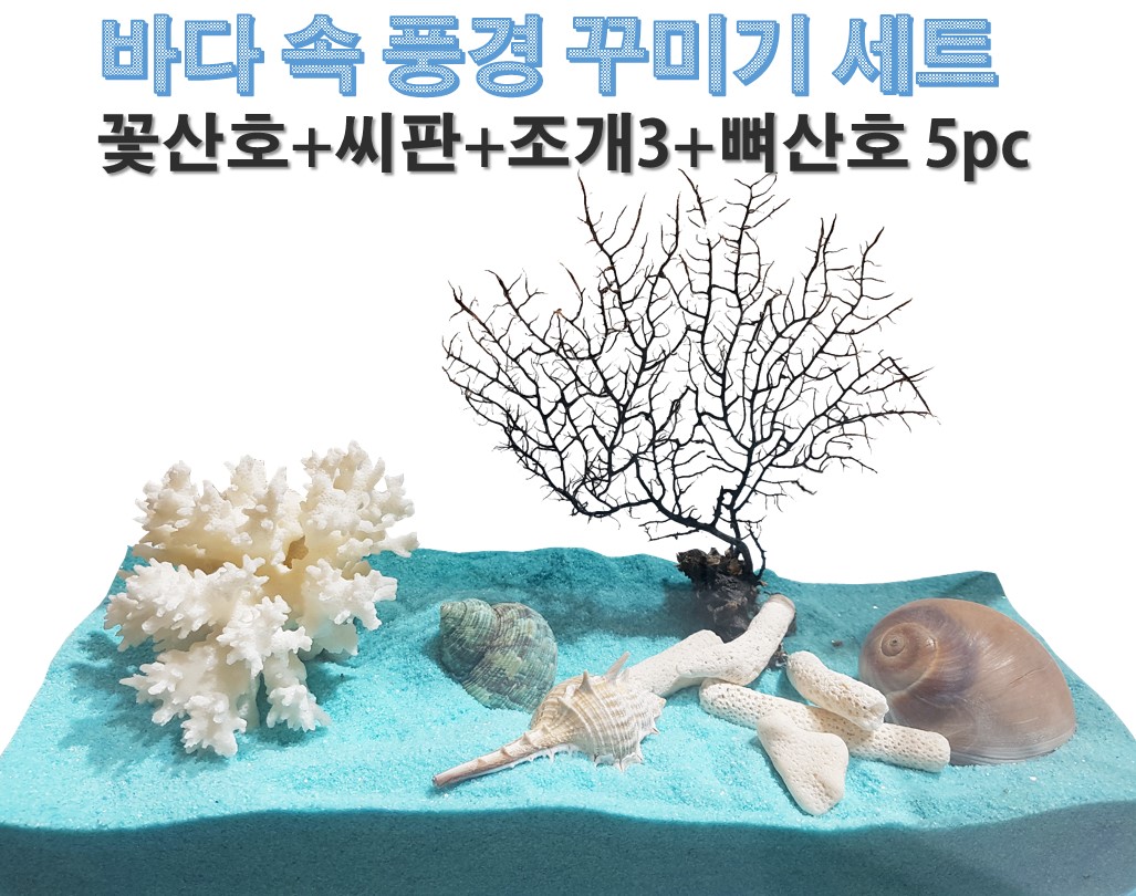 (한정수량) 바다 속 풍경 꾸미기 세트 / 조개장식 / 어항꾸미기 : 니모수족관-이프아쿠아샵