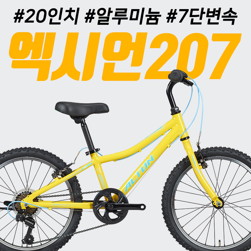 2019 알톤 엑시언207 : 코코바이크