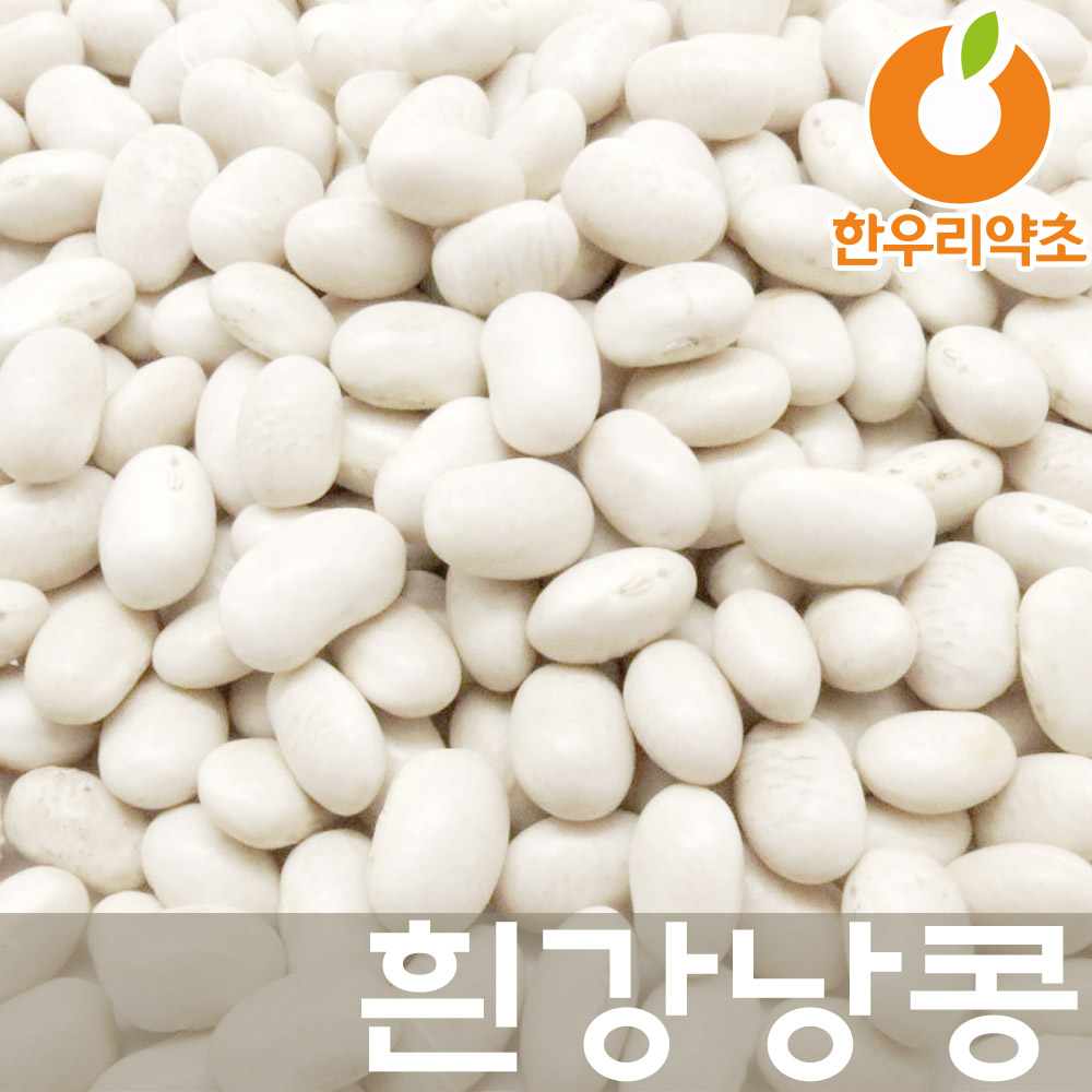 흰강낭콩 3kg 강남콩 효능 : 한우리약초