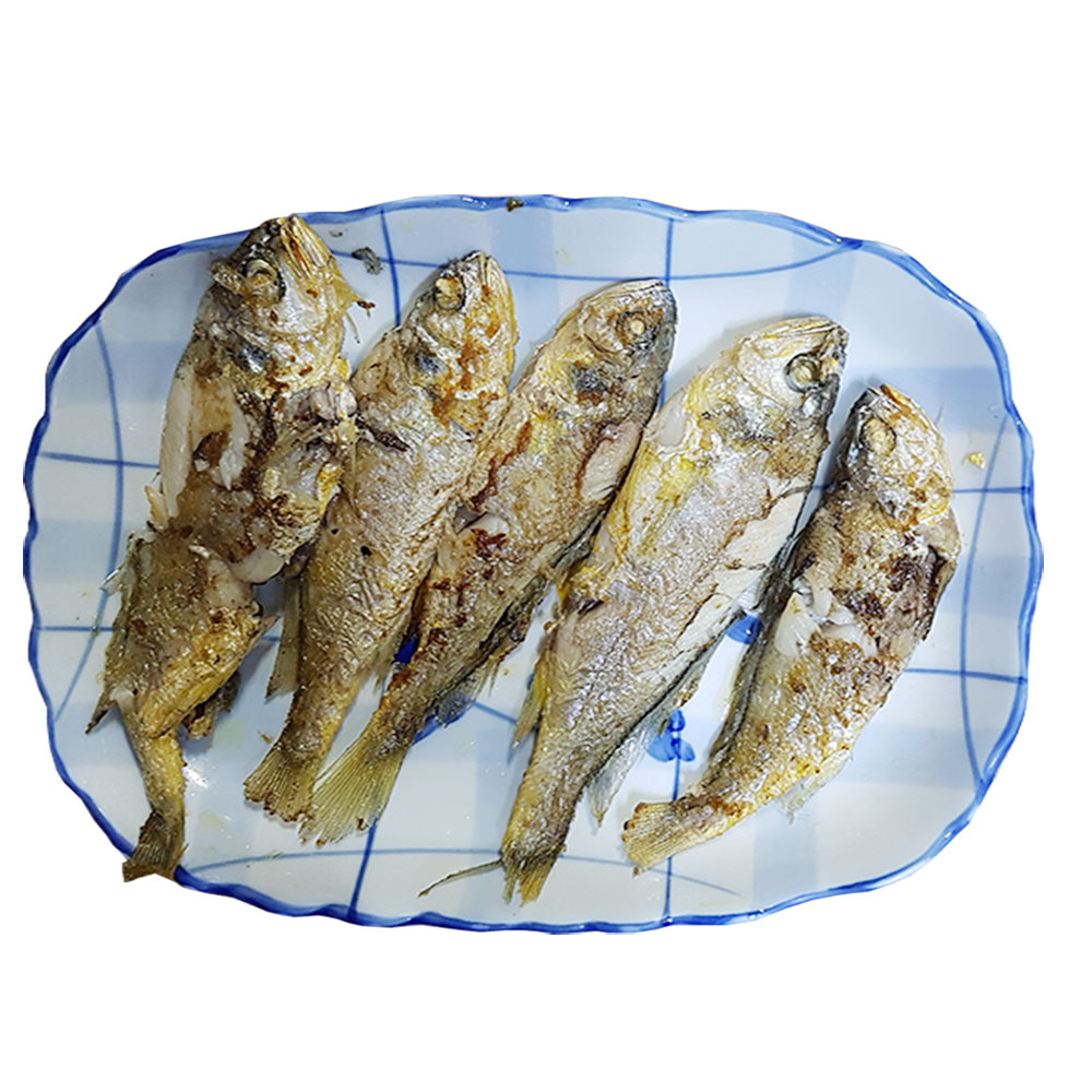 조은상사 냉동 참조기61-63마리 3.6kg 1박스 62미내외 굴비 냉동조기 : 조은푸드
