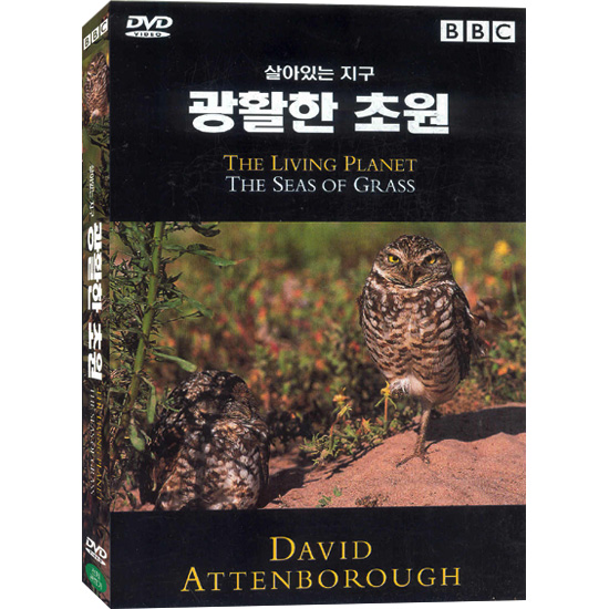 [DVD] BBC 살아있는지구: 광활한초원 (The Living Planet : The Seas Of Grass) : 대영팬더