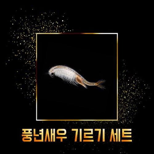 풍년새우 기르기 세트 (중) : 매직아쿠아 마켓