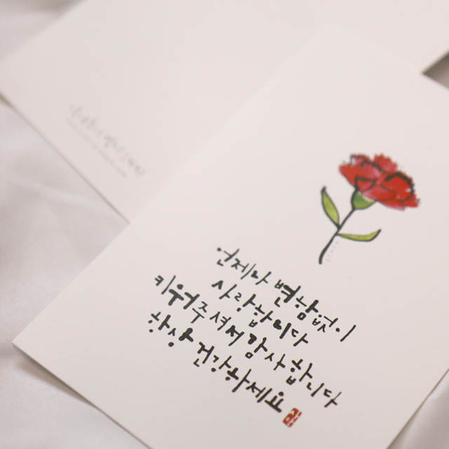 [어버이날] 카네이션 캘리그라피 엽서 & 봉투_감성토끼 캘리그라피 : 감성토끼 캘리그라피