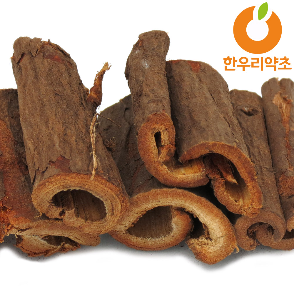 느릅나무껍질 600g 느릅나무뿌리 효능 먹는법 : 한우리약초