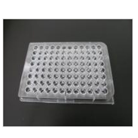 96 Well Plate(10개입)/웰 플레이트 : 오피스안
