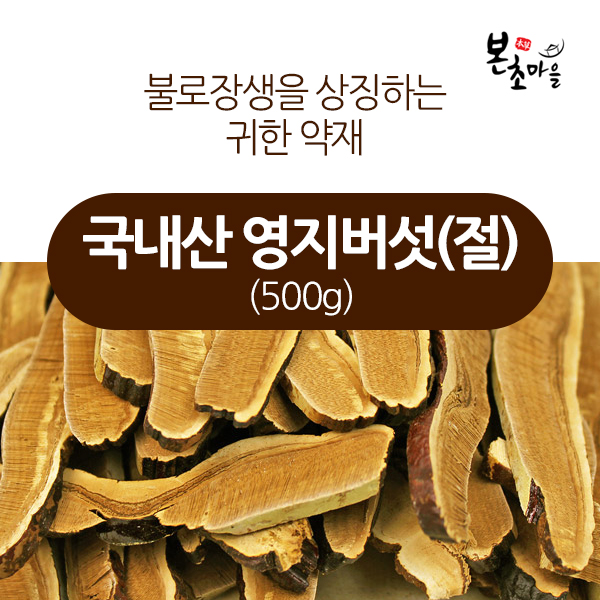 [본초마을] 국내산 영지버섯(절)/영지/영지차 : 본초마을