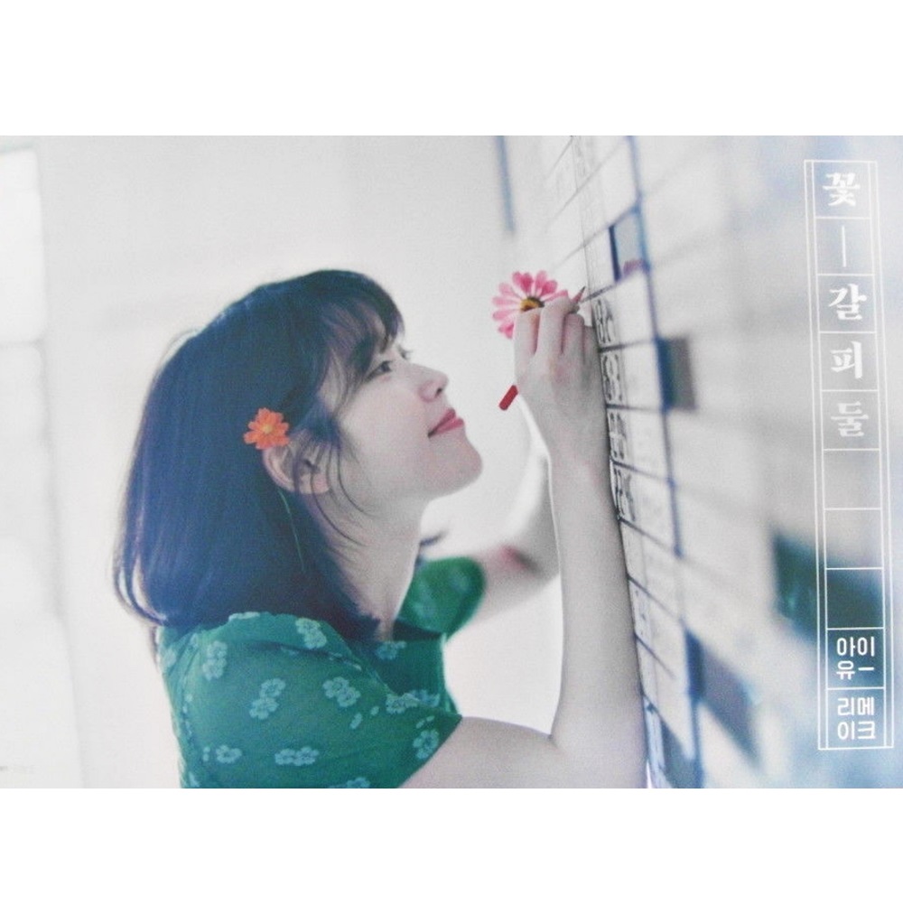 (브로마이드1종+지관통) 아이유 (IU) - 꽃갈피 둘 A 포스터 : ACE 뮤직