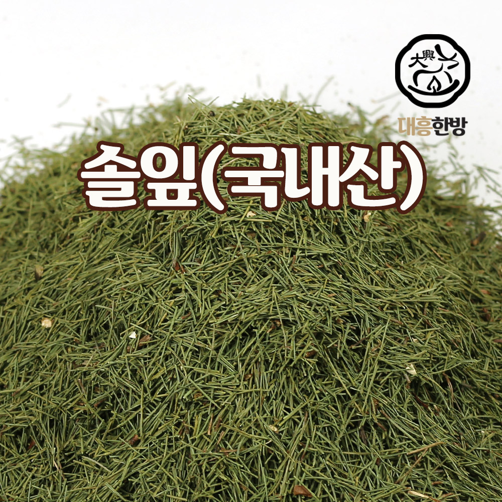 솔잎 소나무잎 국내산 300g : 대흥한방