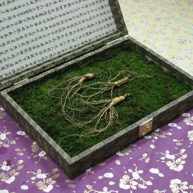 강원삼마을 청정 장뇌산삼 7년근 3주 / 최고급 강원도 산양삼 : 마켓쇼