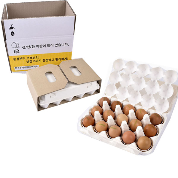 알픽스 계란택배박스 15개세트 : 아인스톤-알박스