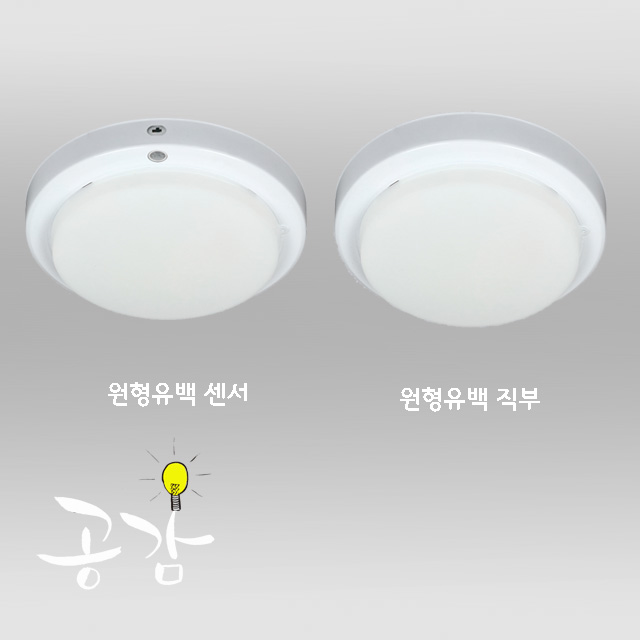 에코 직부&센서 : 공감조명